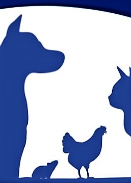HAUSTIERE. Alles Gute für Ihre Tiere von VITARING®.